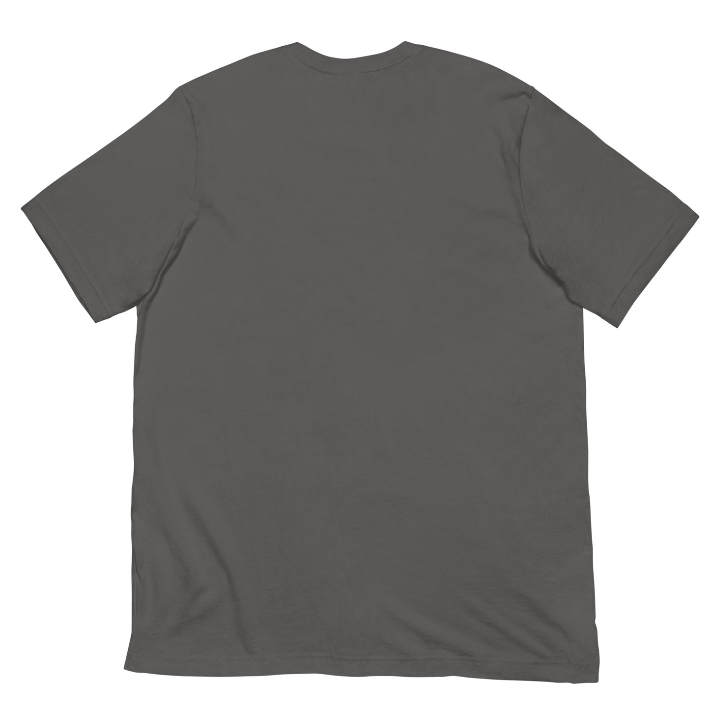 ILLEGALLY OCCUPIED TSHIRT