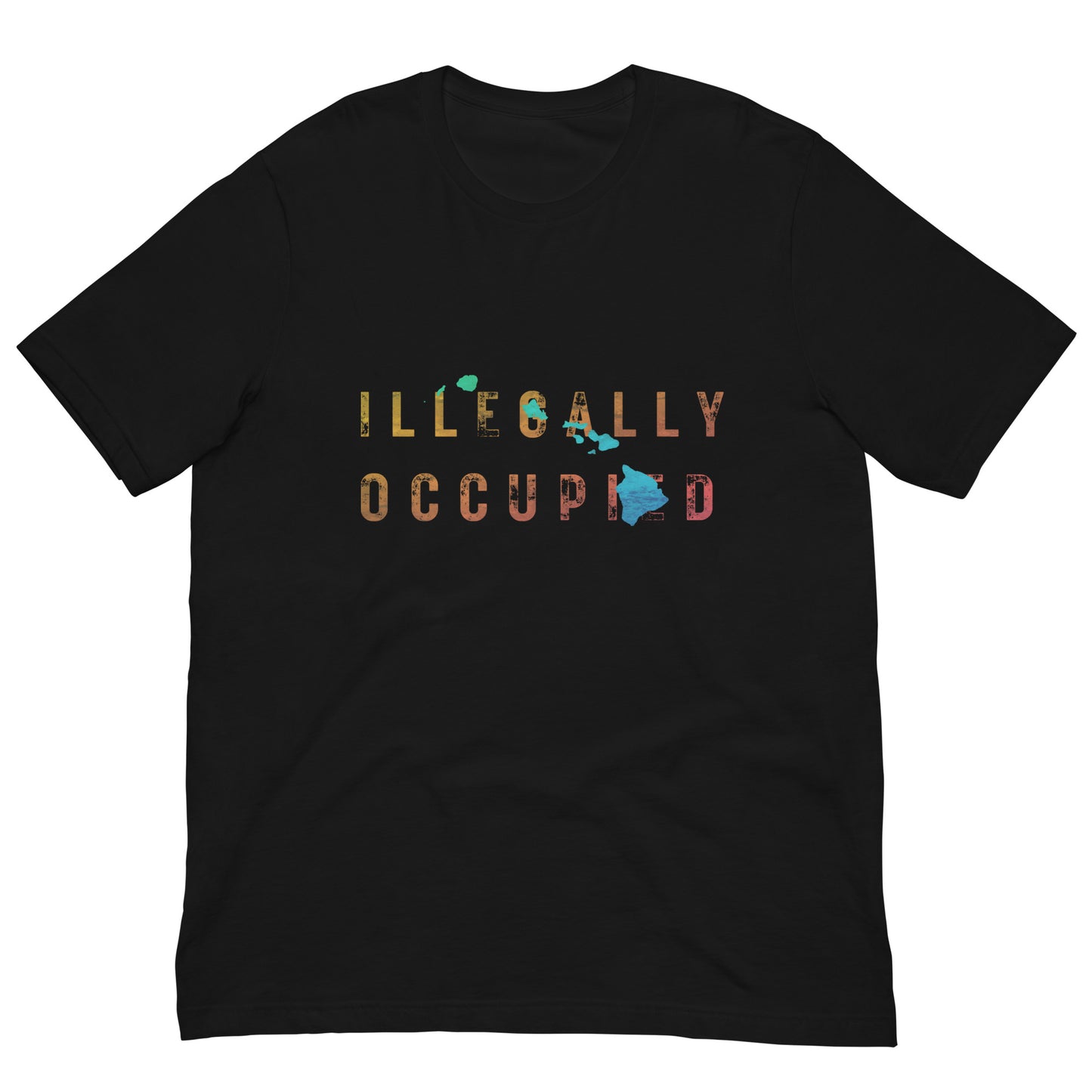 ILLEGALLY OCCUPIED TSHIRT